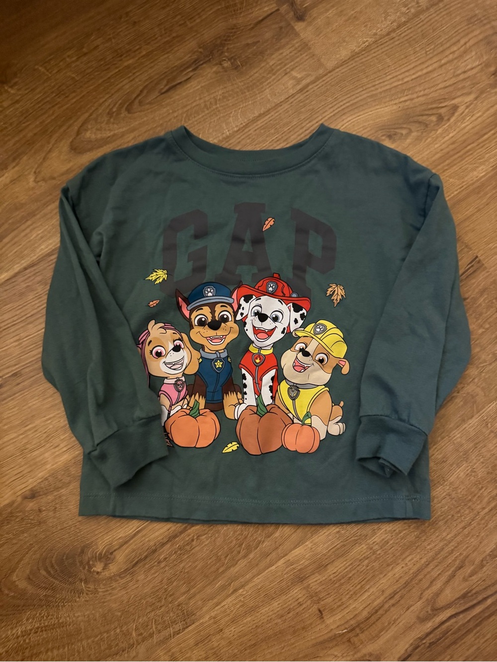 GAP Kids Green Paw Patrol Graphic Long-Sleeve Tee (Size 4T)